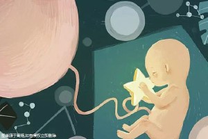 专业供卵代怀服务
